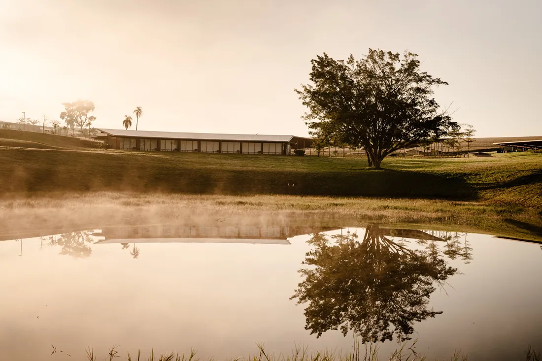 Árvore refletida na água parada, com as baias ao fundo